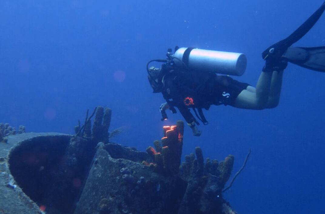 Dive 1