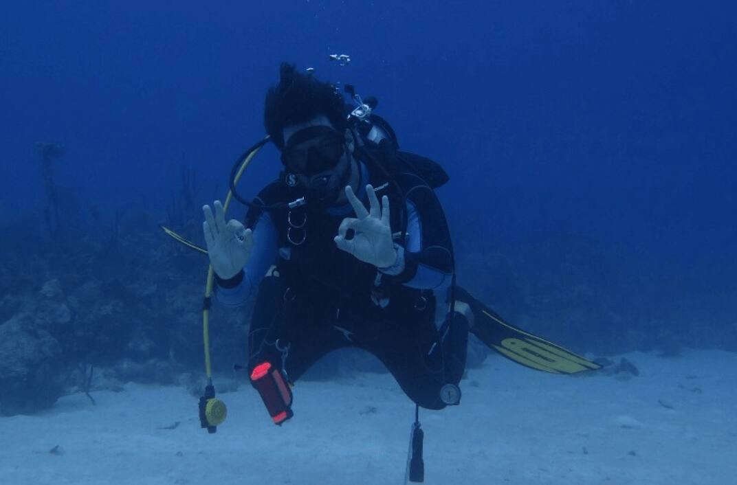 Dive 2